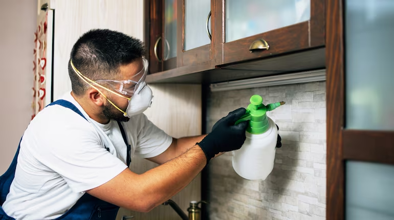 Pest Control: Maintaining Safe and Healthy Spaces